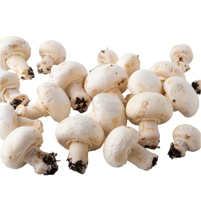 Шампиньоны свежие 500 г - купить в Крутце